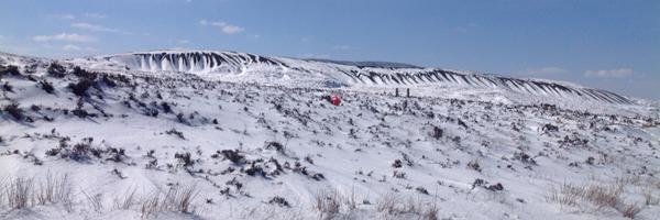 grasshopperwise Profile Banner