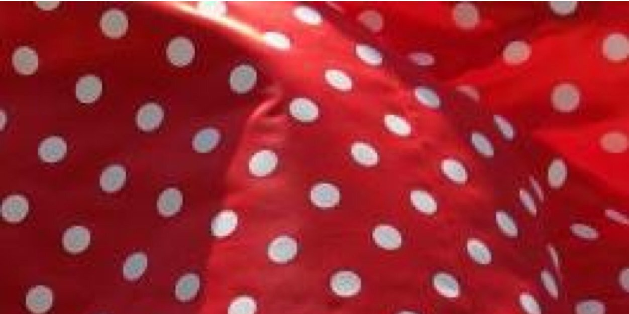 danielafrenna's profile banner image