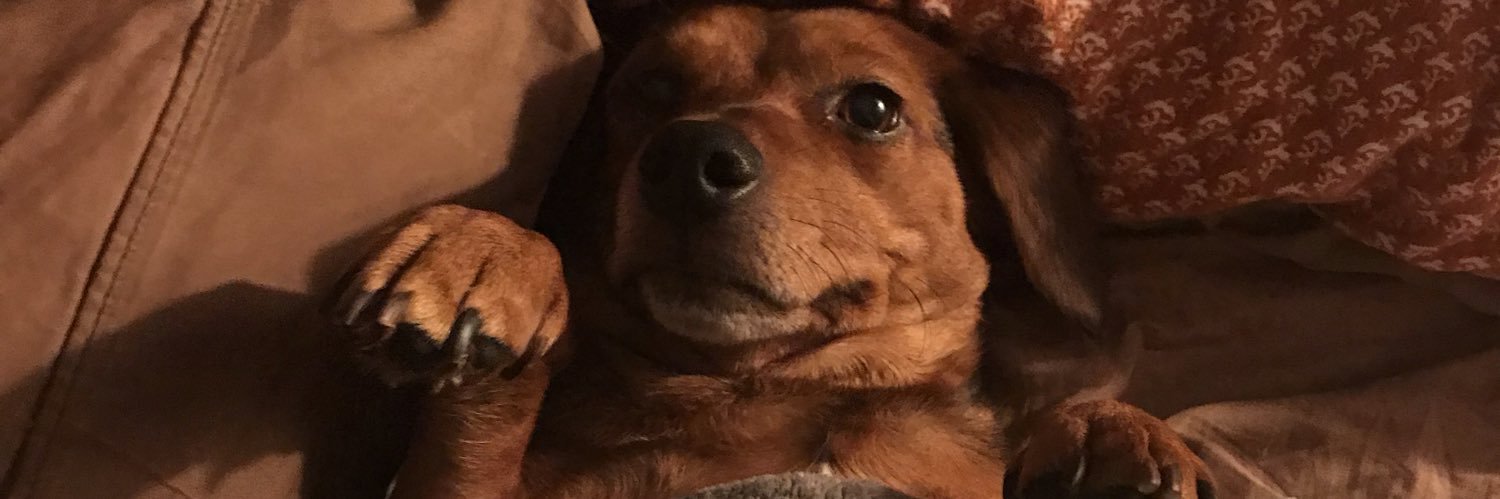 harrison_loftus's profile banner image