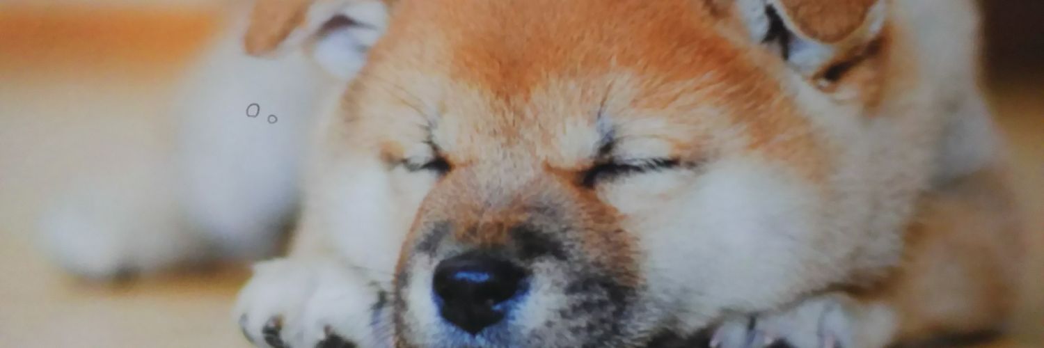 Yamada0446's profile banner image