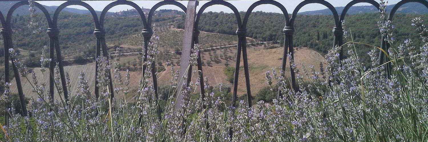 Jonathan Lamb banner