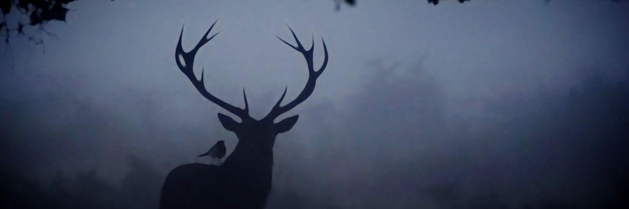 HannibalMCL's profile banner image