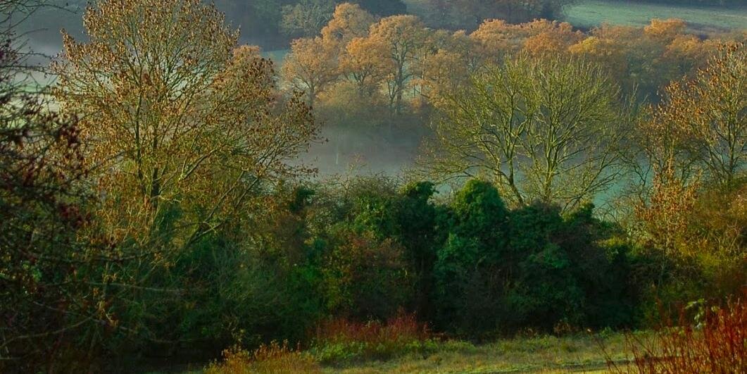 Johan Jardevall banner