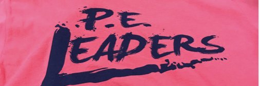 PeLeaders's profile banner image