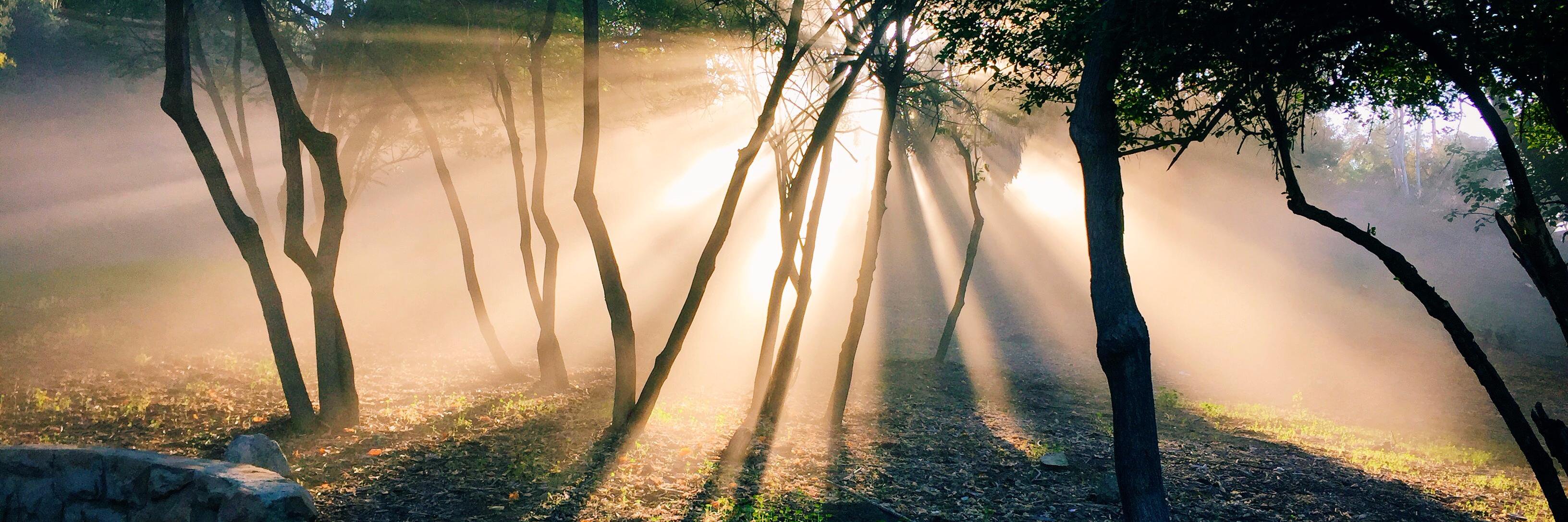 nextgenerosity's profile banner image