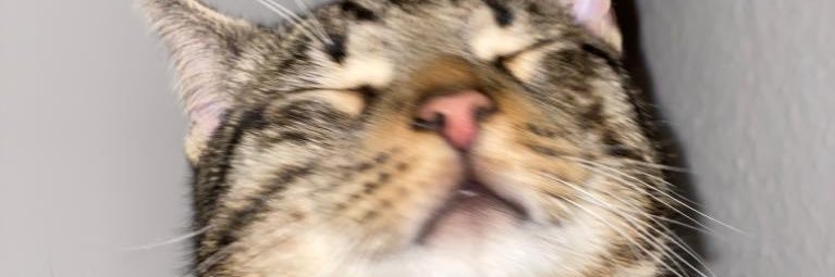 MarzoVII's profile banner image