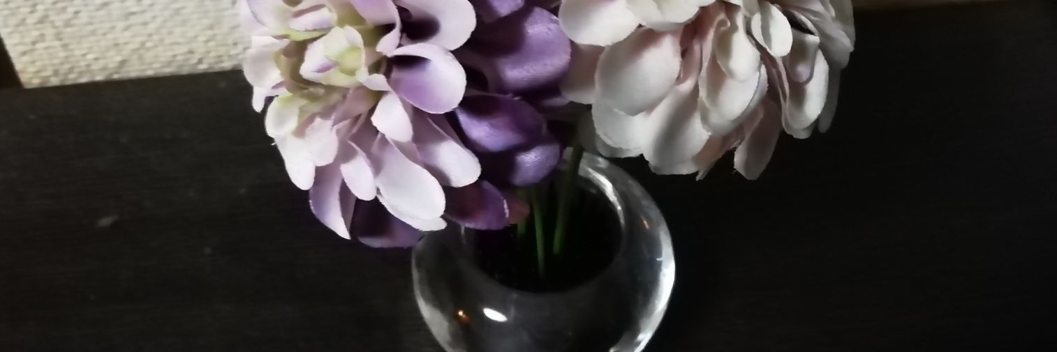 mjhi00797's profile banner image