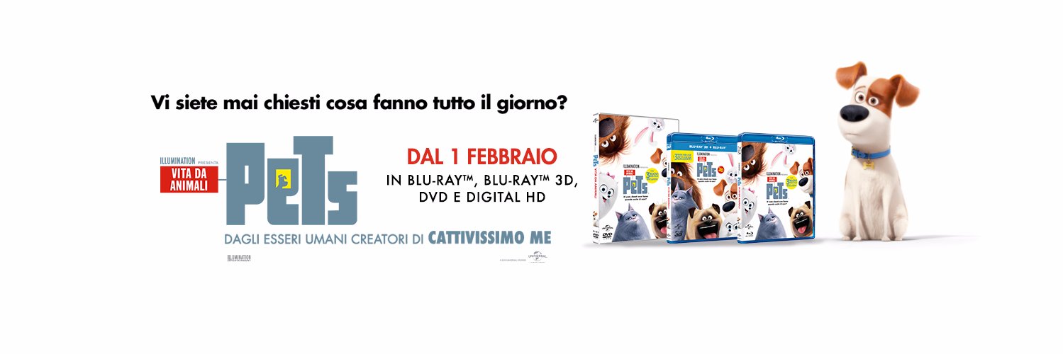 PetsIlFilm's profile banner image