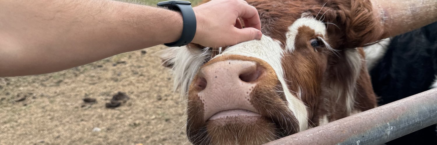 Miranda Blackhamπ² banner