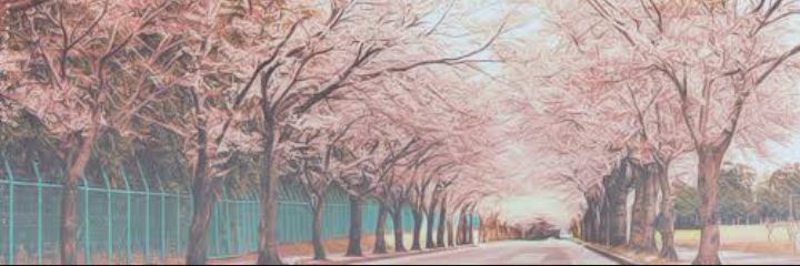 janasilva_'s profile banner image