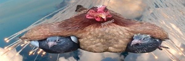 _submaureen_'s profile banner image