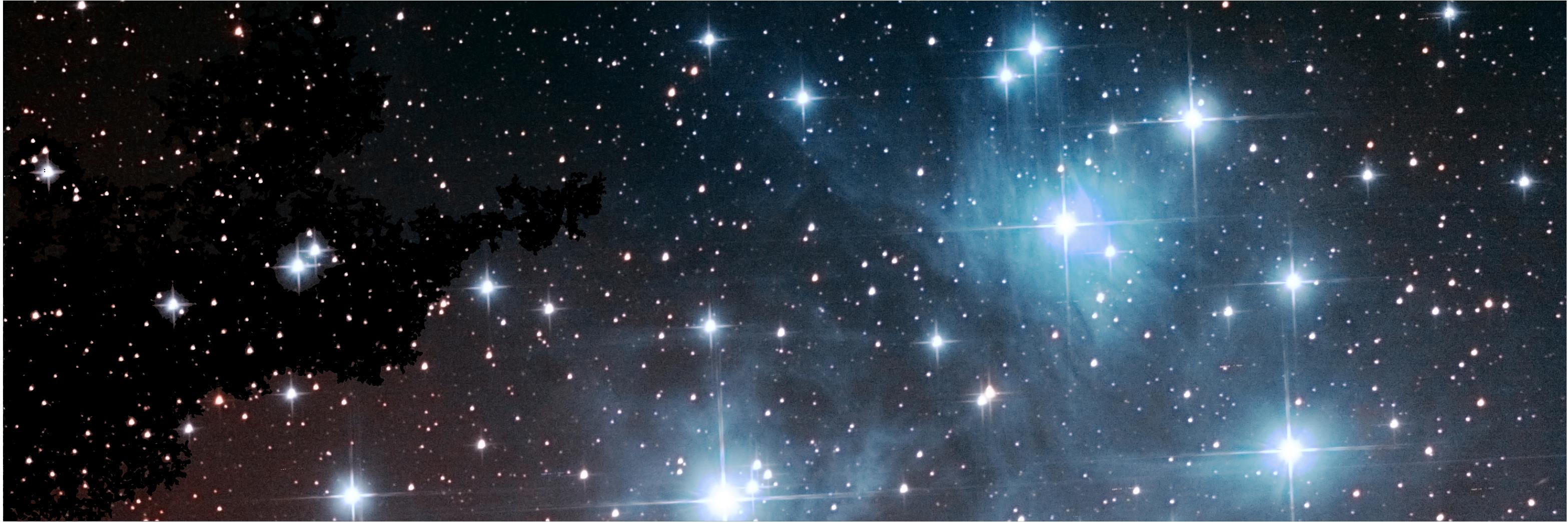 Mvsica Donvm Dei banner