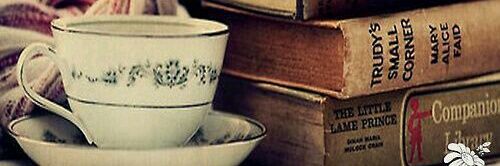 Booknerdchic's profile banner image