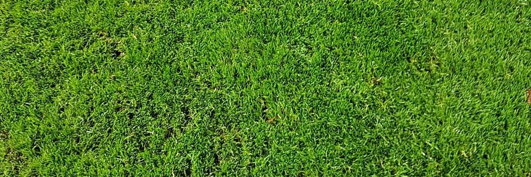 BRRRRR PAAHHH banner