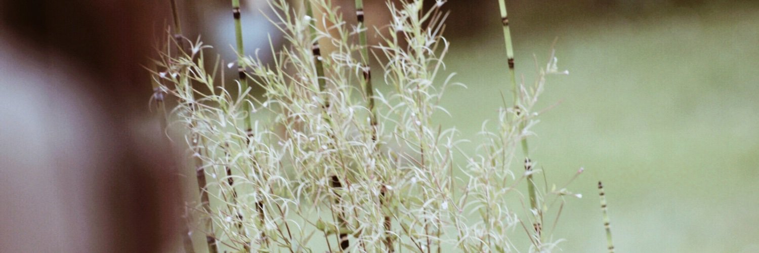 jaspersjani's profile banner image