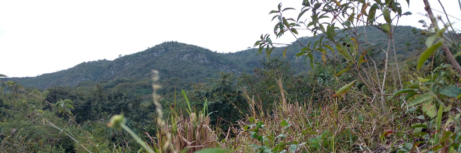 Francisco Rivas banner