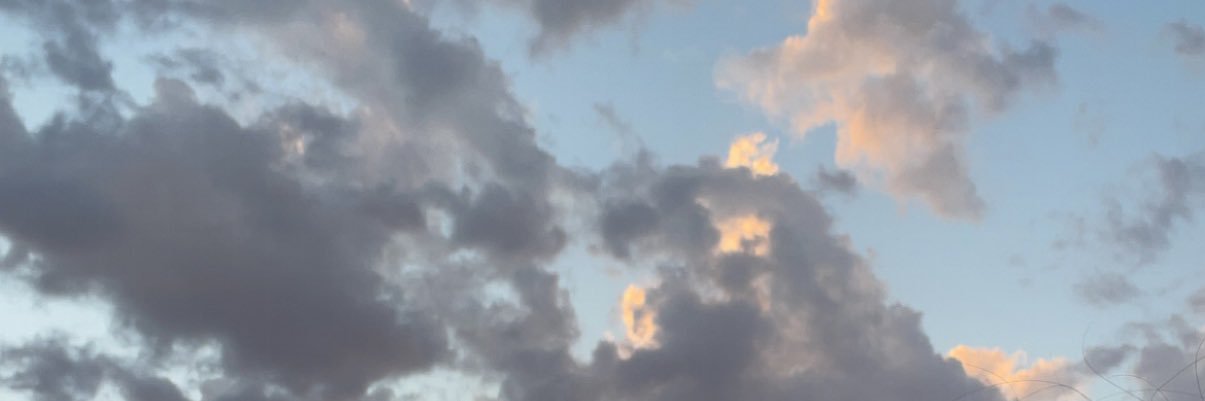 audreyirene6's profile banner image