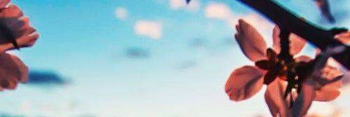 Cejayysss's profile banner image