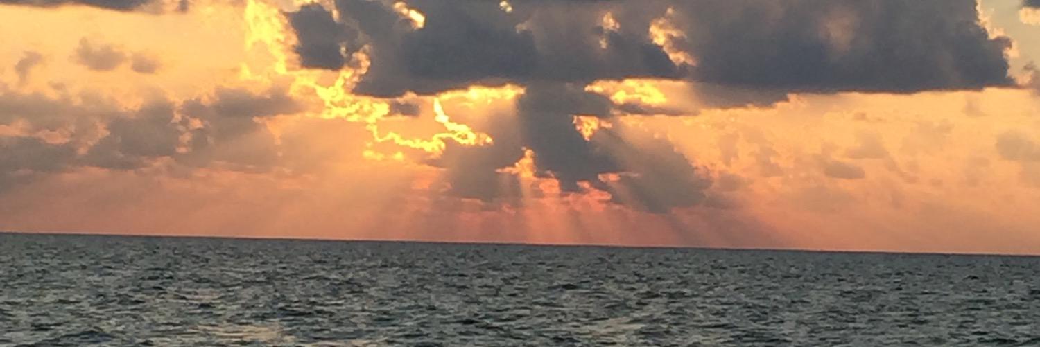 TheReemaSK's profile banner image