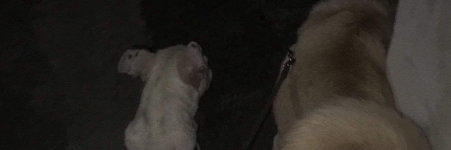 ivanfrn19's profile banner image