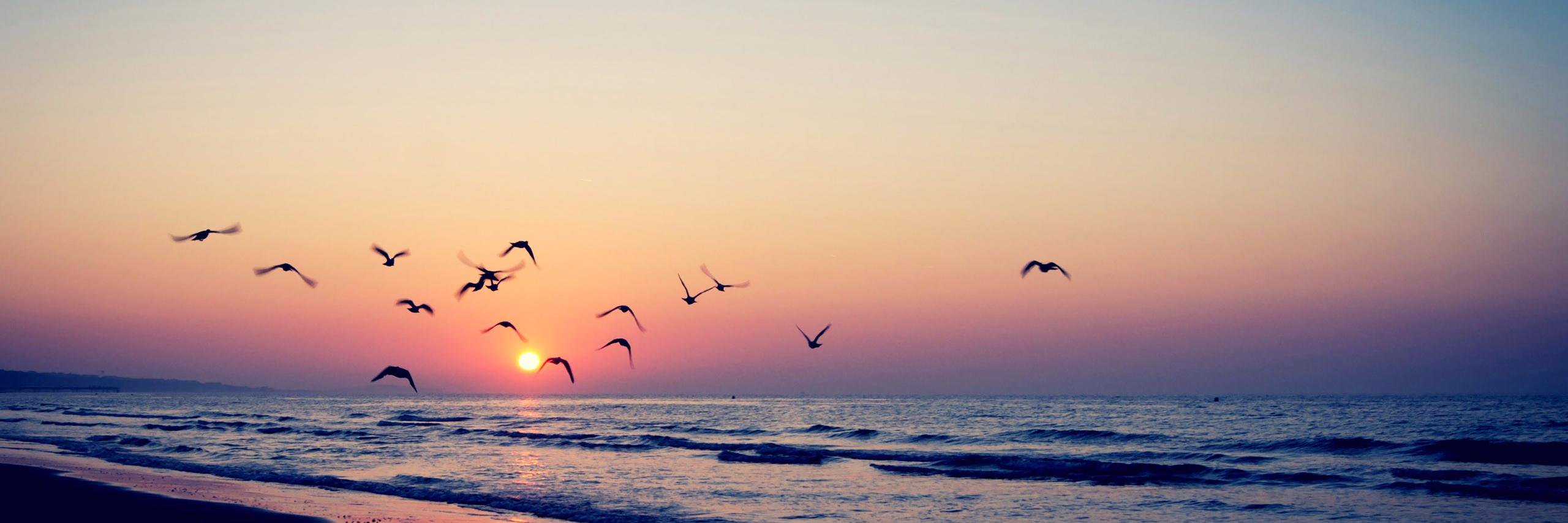 brooklynfgreen's profile banner image