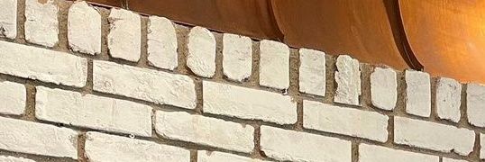 selgomeng's profile banner image