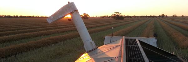 tposfab Profile Banner