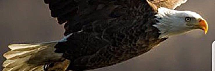 yelynetwork's profile banner image