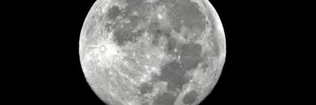 kimi 🇯🇵 banner