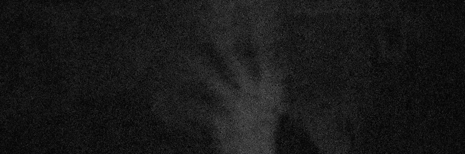 whitakerdane's profile banner image