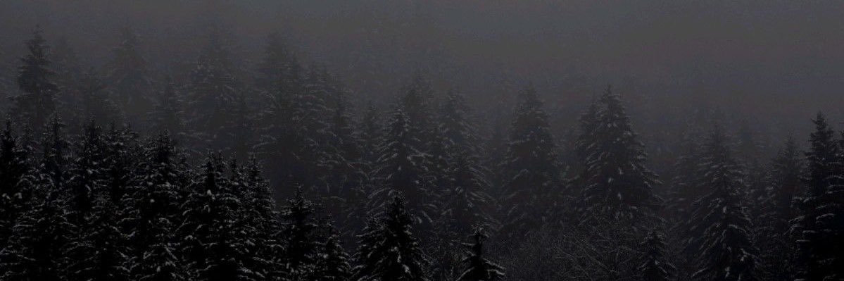 lmRary's profile banner image