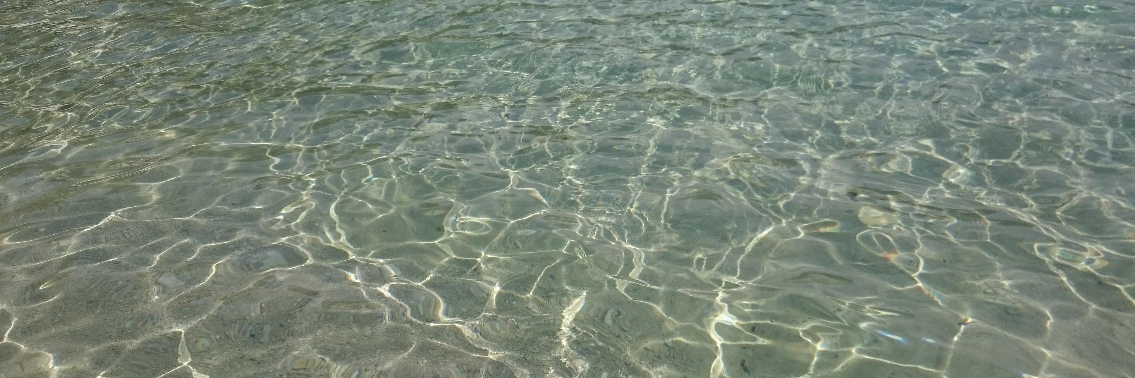 Alison Stowell banner