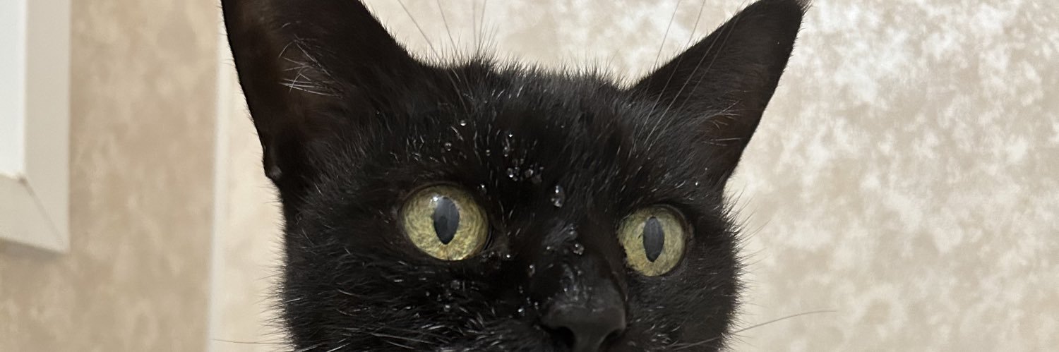 aosaba0210's profile banner image