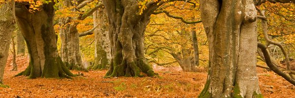 patrickandr Profile Banner