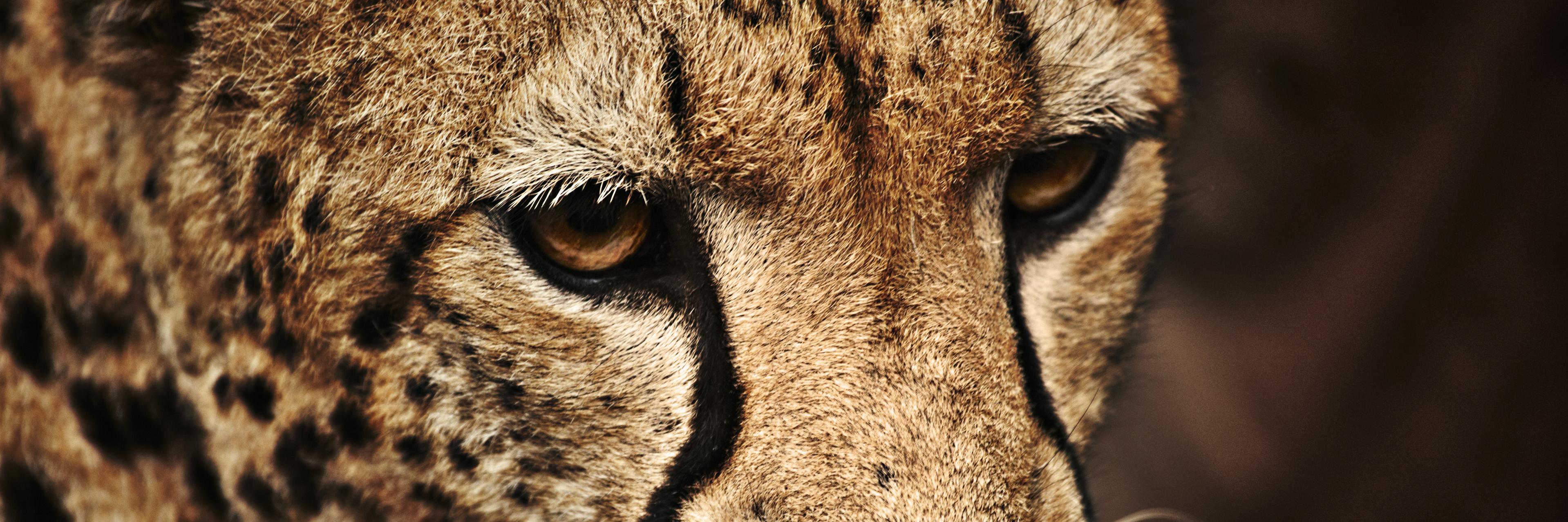 Check_Jp1's profile banner image