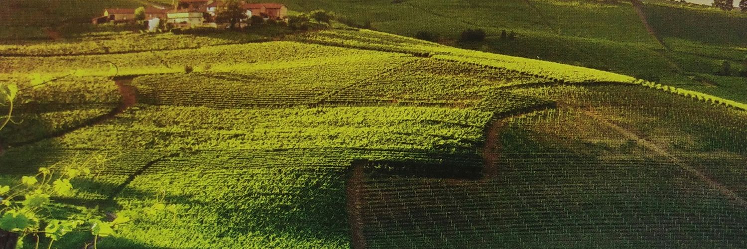 BelmaatiM's profile banner image