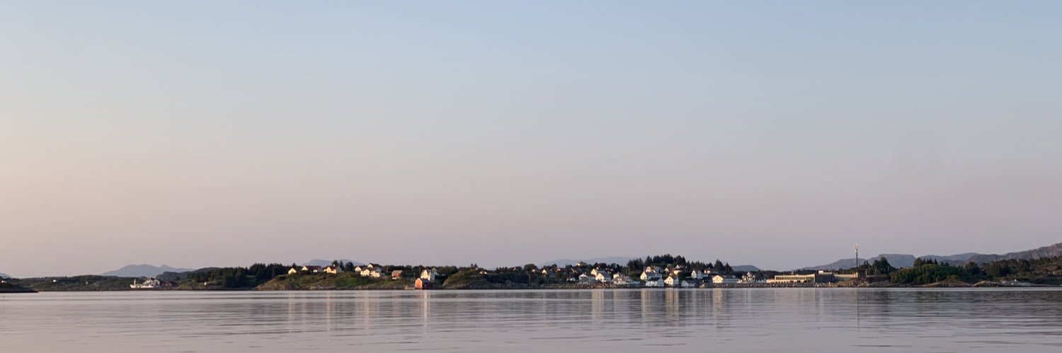 amindahaug1's profile banner image