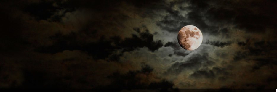 BOSSleidyx3's profile banner image