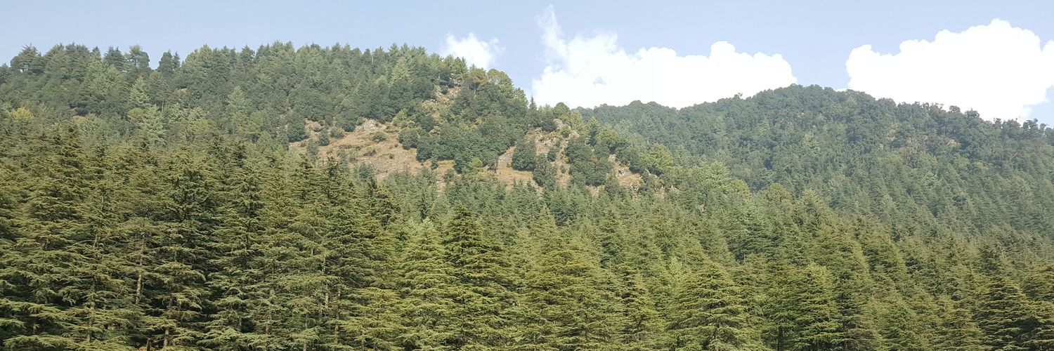 Swatijuana's profile banner image