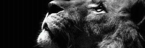 LiniSl94's profile banner image