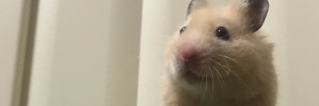 1Hdmu's profile banner image