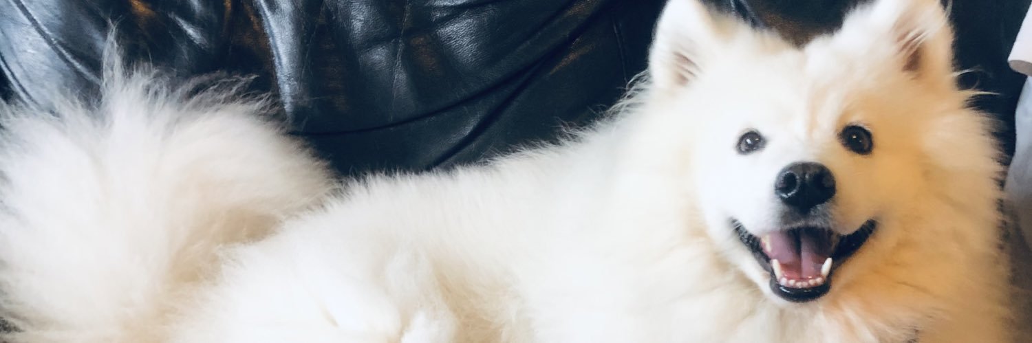 sezzybrady's profile banner image