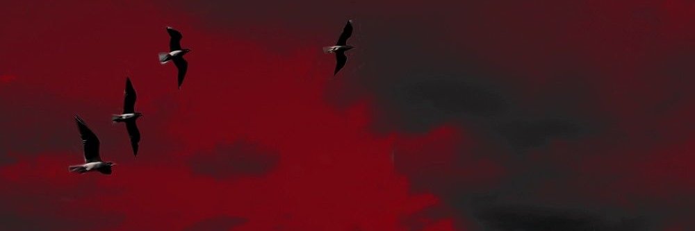 luminecides's profile banner image