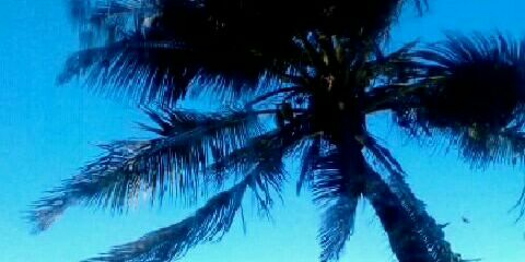 Fidelina Ndunge banner