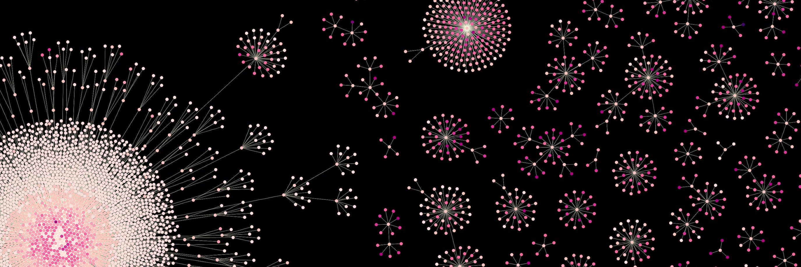 Samantha Morris banner