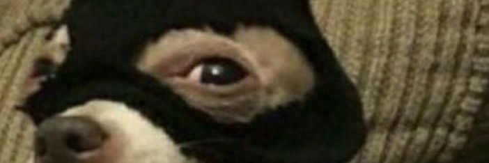 CmgrGeber's profile banner image