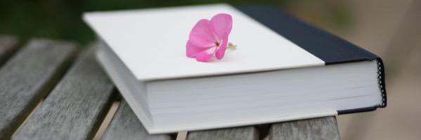 The Novel Bunch banner