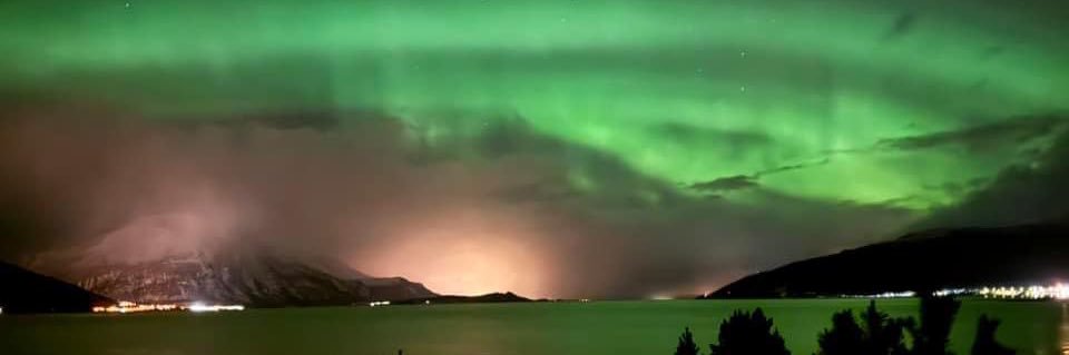 ailarsen's profile banner image