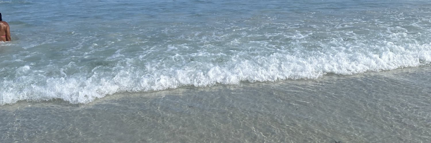 fetofalini's profile banner image