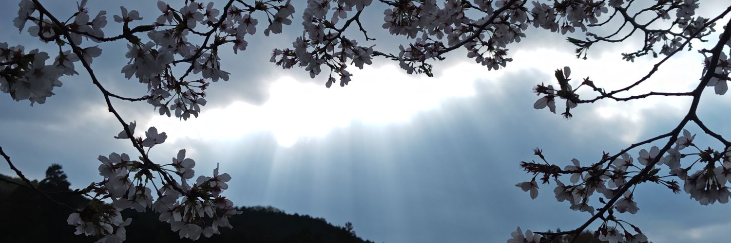 5moonflower7's profile banner image